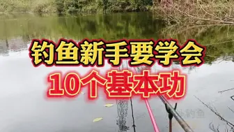 Tải video: 钓鱼新手要学会的10个基本功