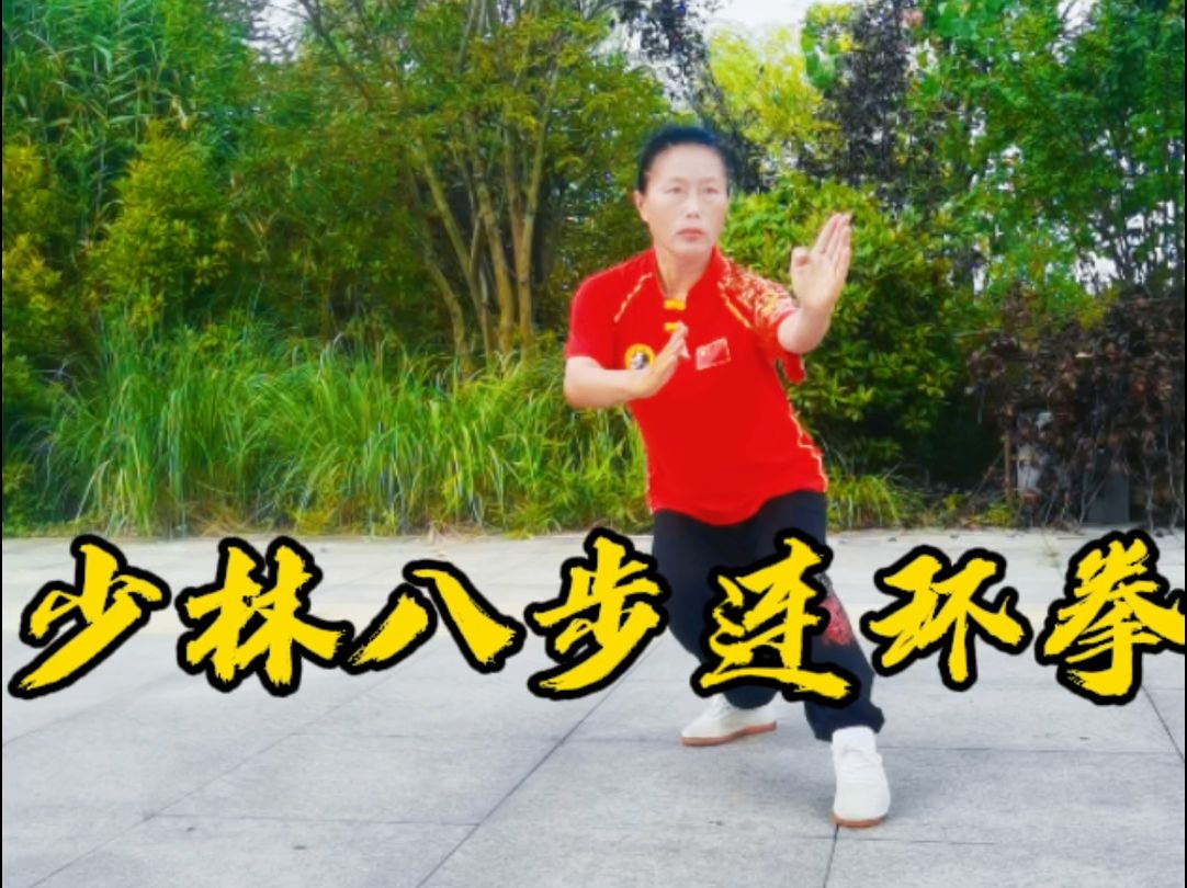 夏练三伏:少林八步连环拳(带拳谱口令字幕)