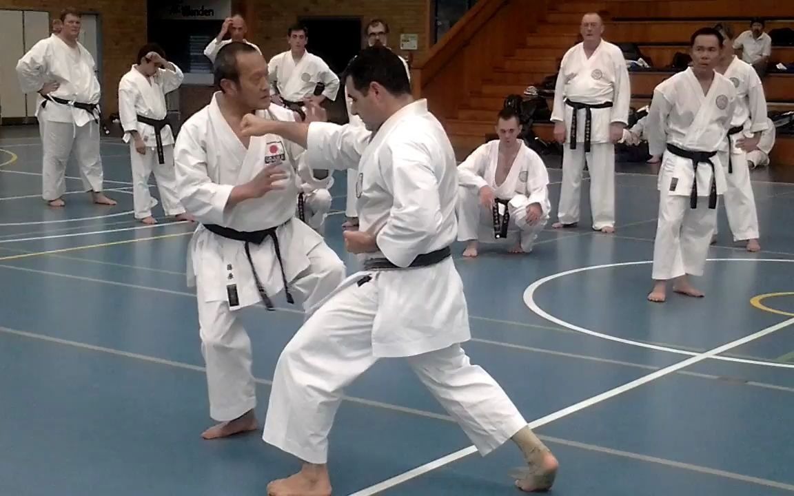 【刚柔流】seiichi fujiwara四股立摔法