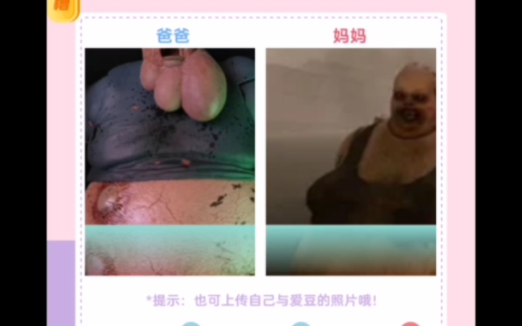 男Boomer和女Boomer的孩子长啥样哔哩哔哩bilibili