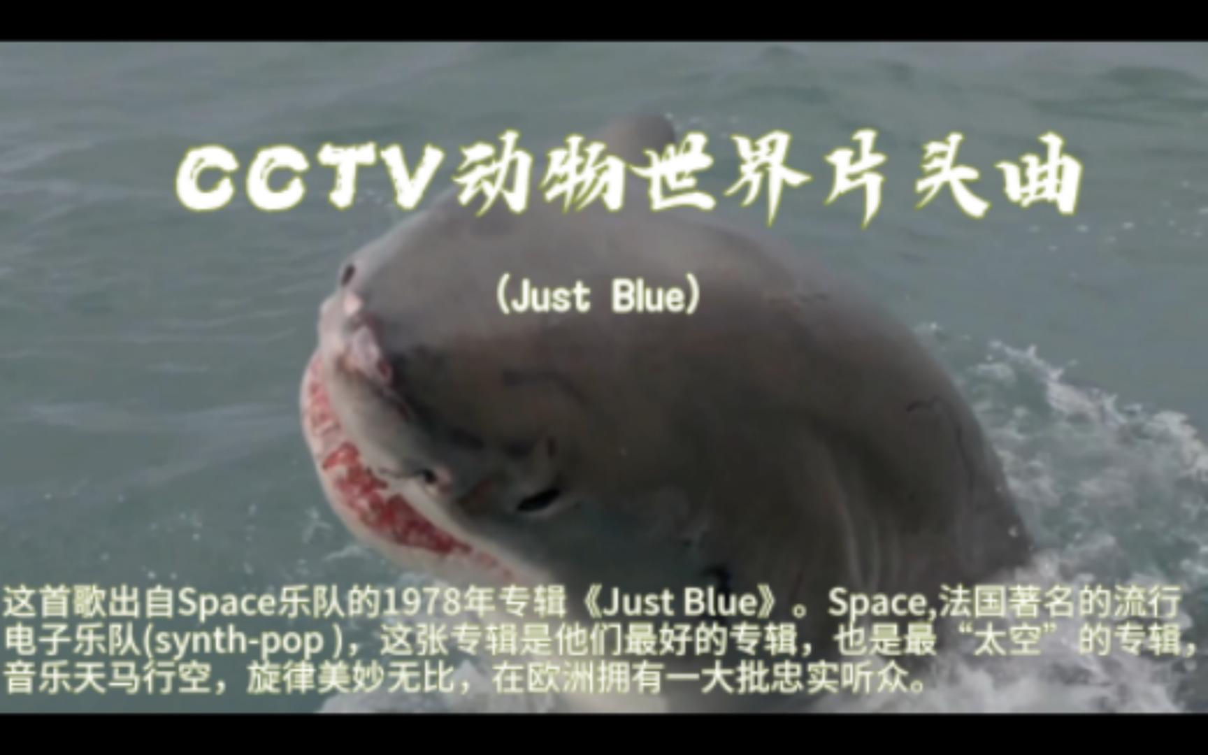 【纯音乐】CCTV动物世界片头曲,这首歌出自Space乐队的1978年专辑《Just Blue》.哔哩哔哩bilibili