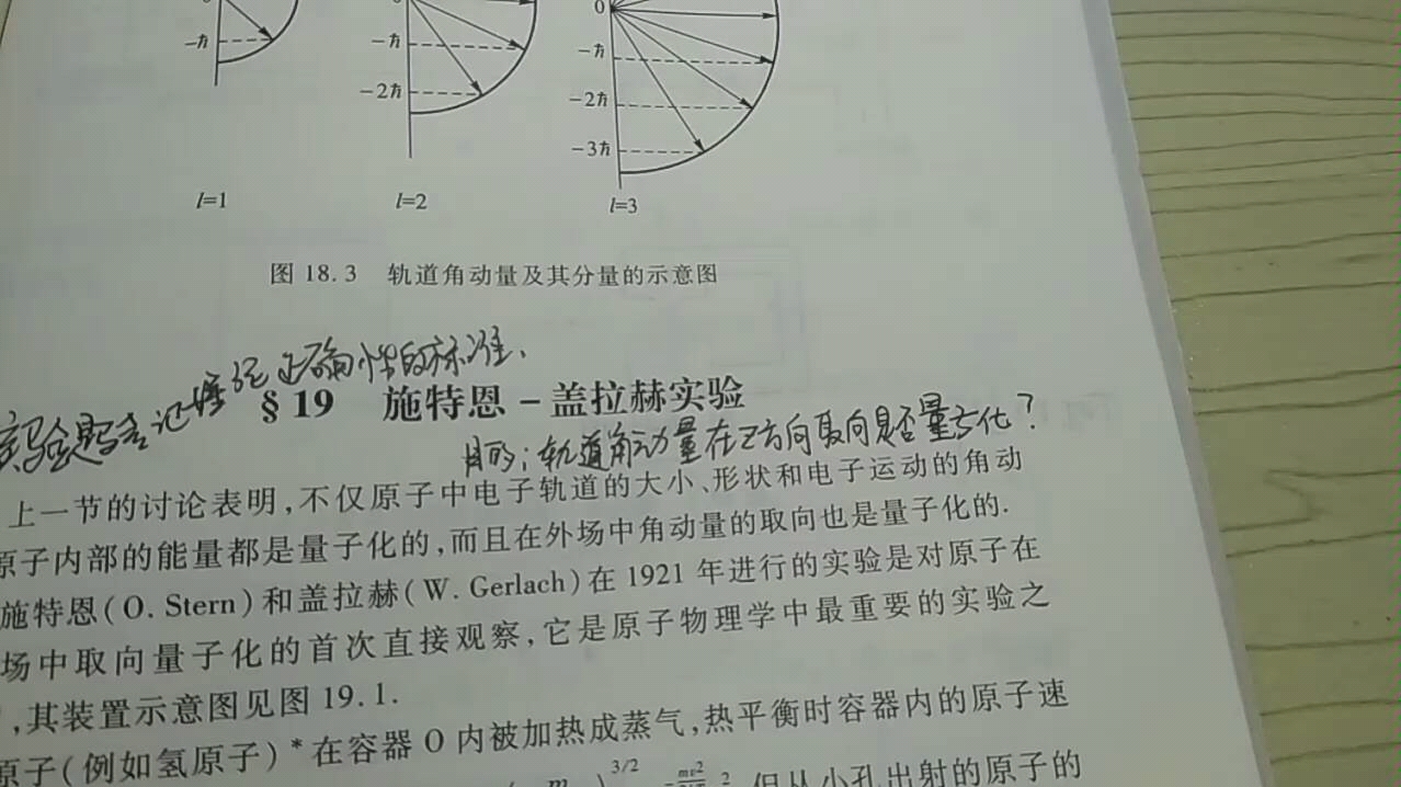 施特恩格拉赫实验图片