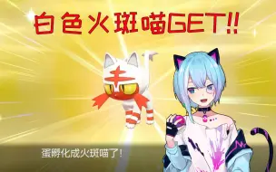 Download Video: 【剑盾】闪光母梦特火斑喵！！