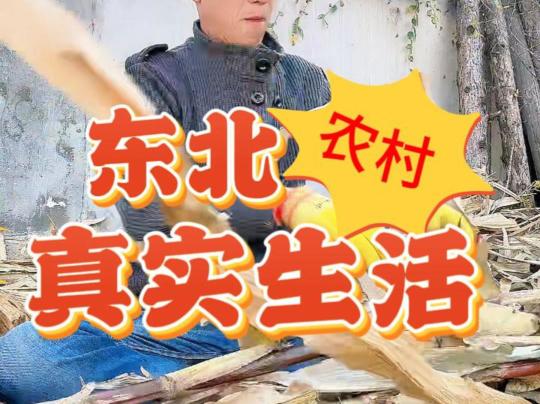 真实的东北农村生活!不要被误导哔哩哔哩bilibili