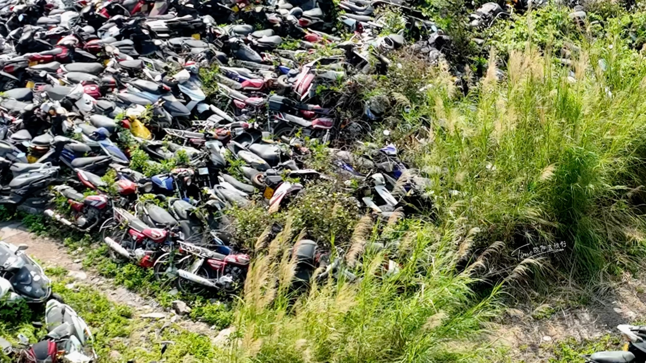 堆积如山,密密麻麻的摩托车和电动车 堆积在此生锈 杂草丛生 蔓藤爬满