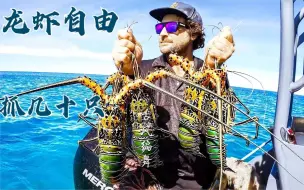 Download Video: 深海几十米抓龙虾群，五斤重龙虾抓超几十只，彻底实现龙虾随便吃