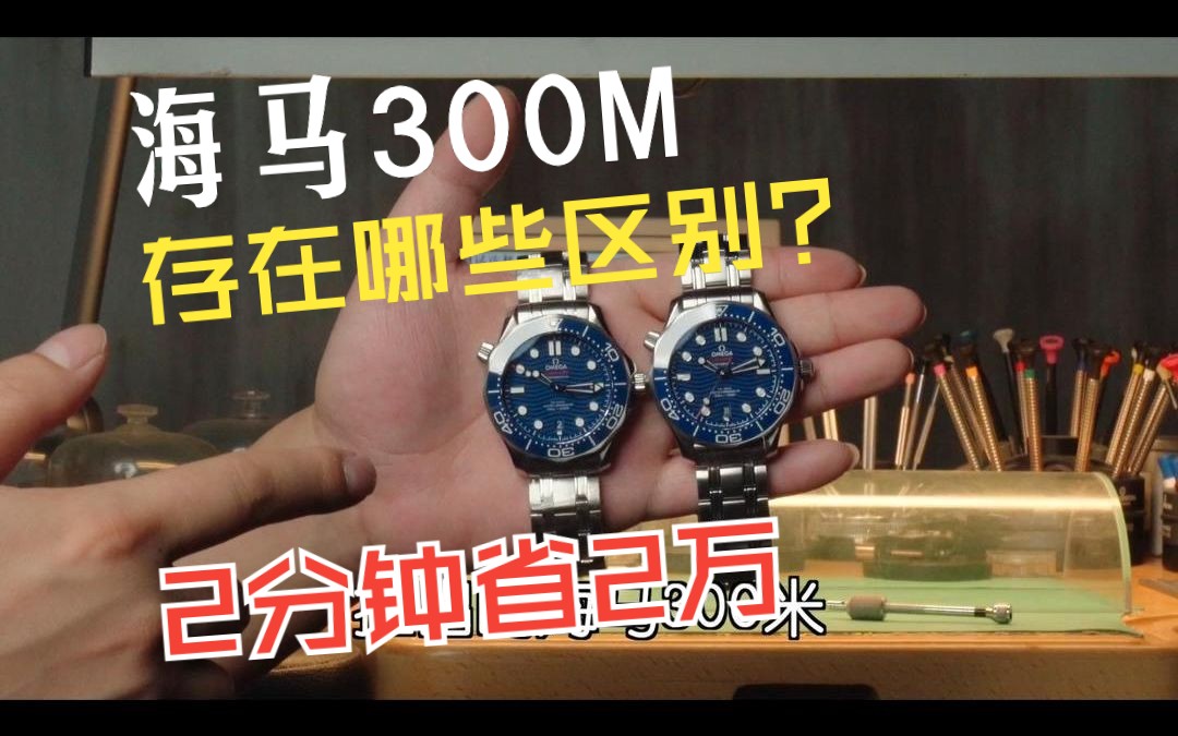 2分钟省下两万块,海马300m到底存在哪些区别?