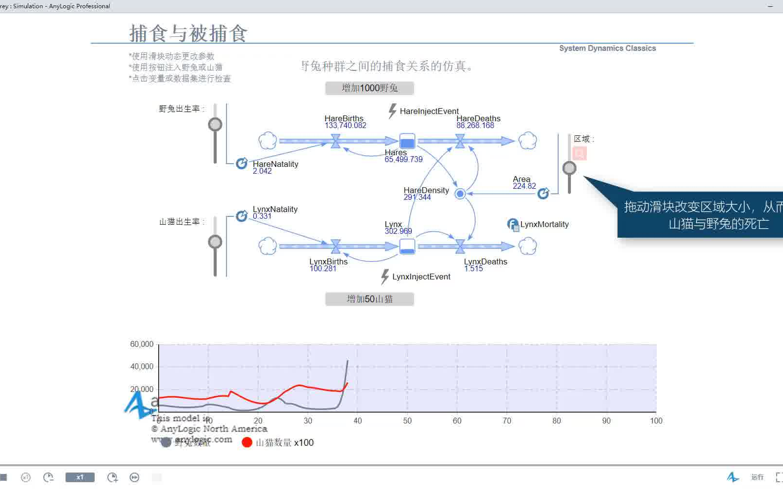 【社会和生态动力学仿真系列】AnyLogic基于系统动力学捕食关系种群模型哔哩哔哩bilibili