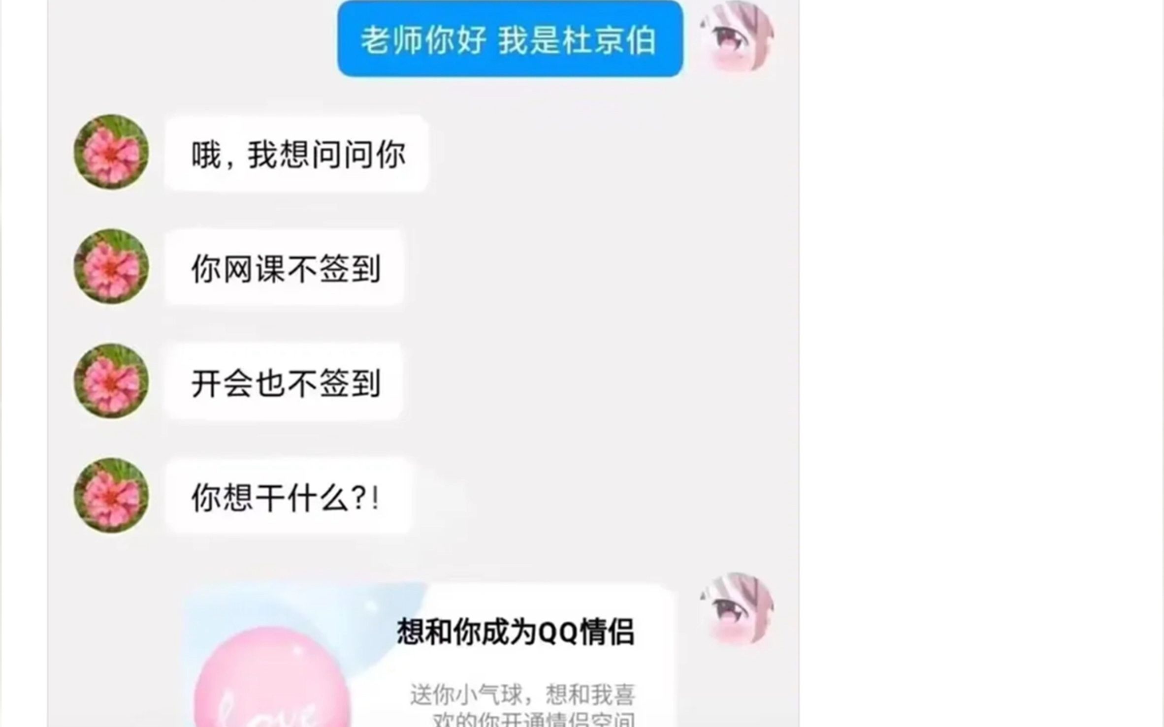 “顶级学生”哔哩哔哩bilibili