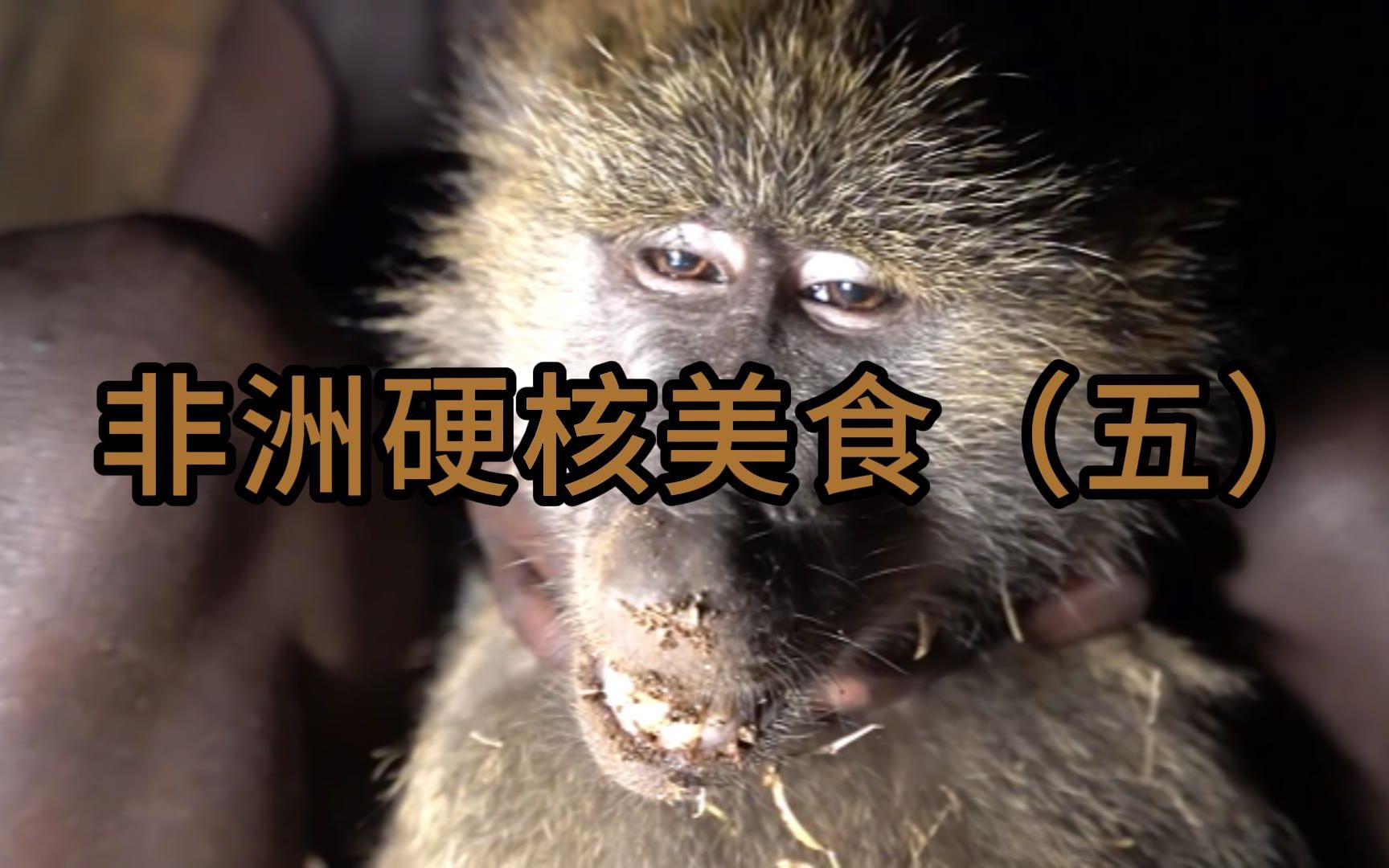 非洲原始部落美食,狒狒小烧烤,狒狒这次真的废废了