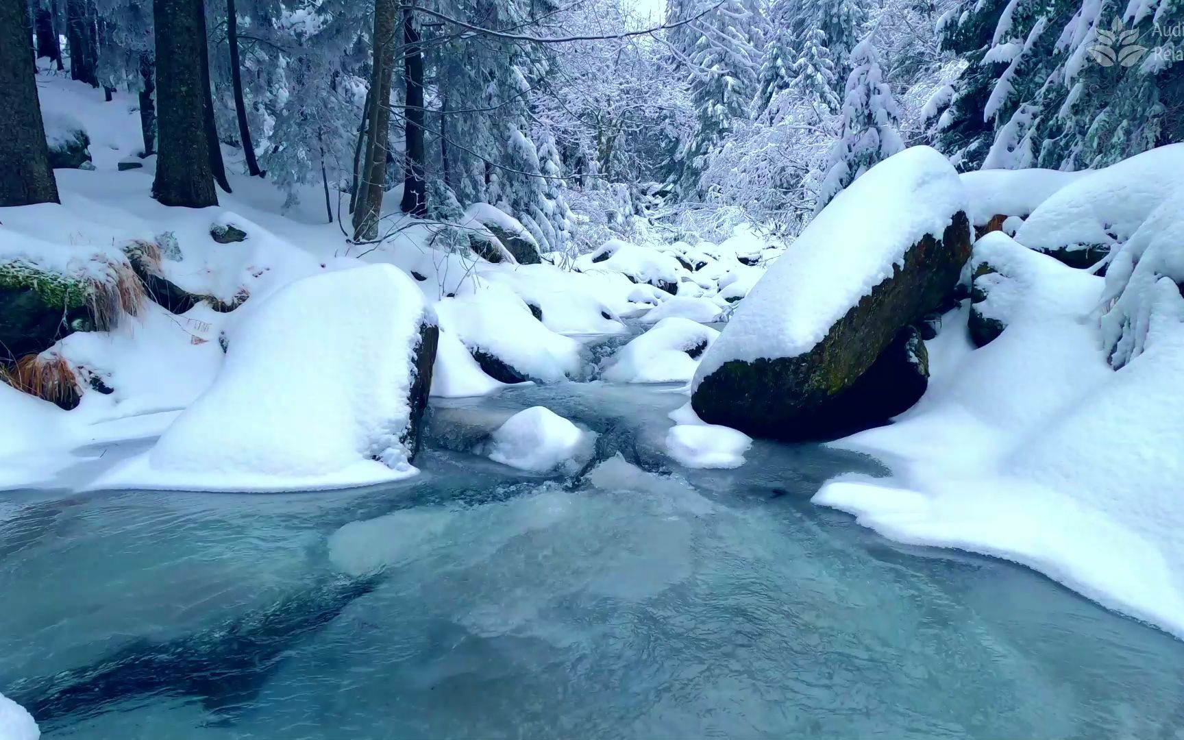 冬季森林和小河. 白雪皑皑的风景. 冬天冒泡的溪流. 睡眠和冥想的背景噪音.哔哩哔哩bilibili