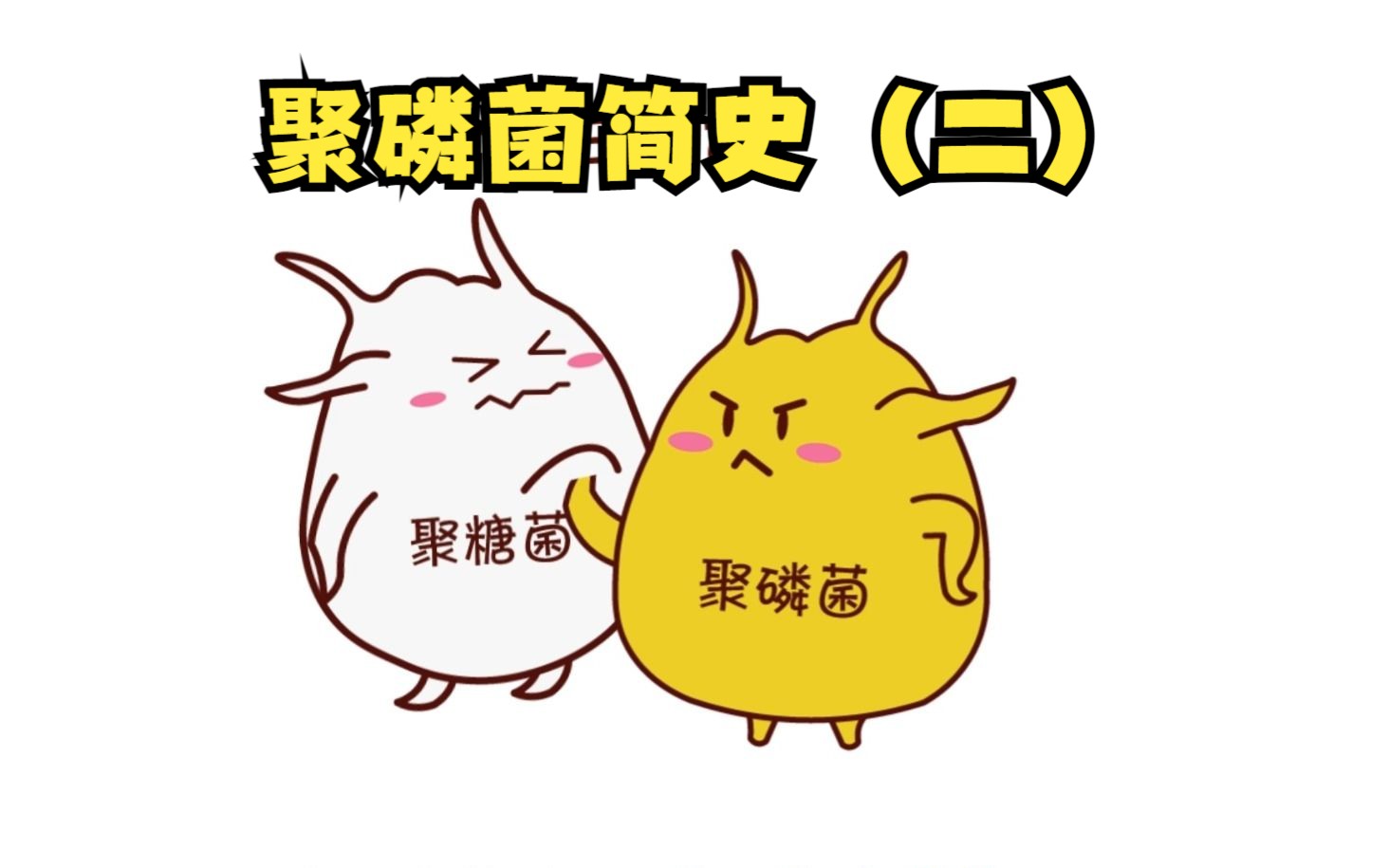 聚磷菌简史(二)