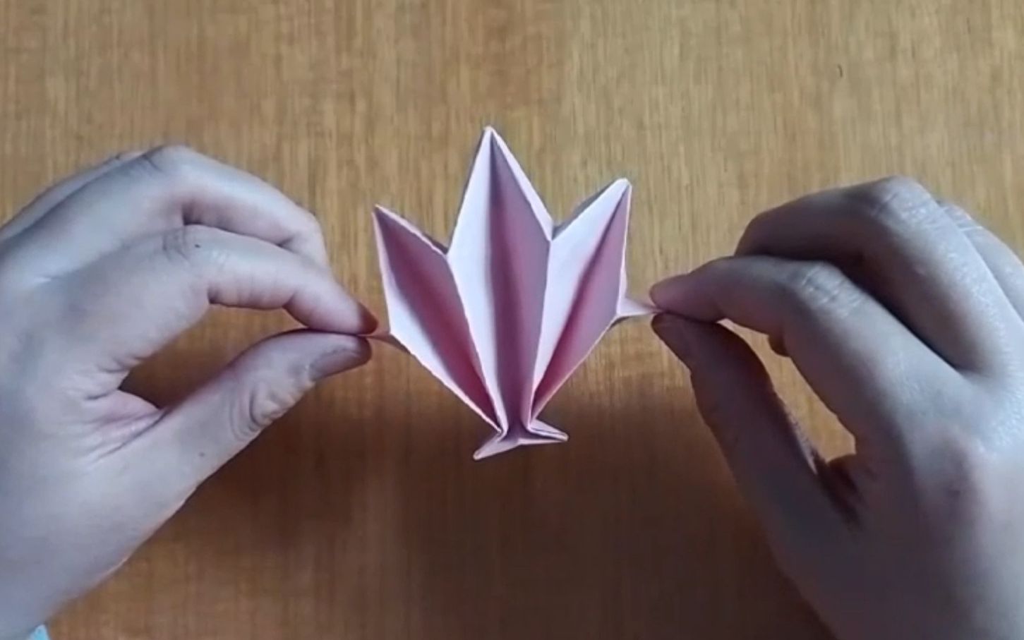 珊瑚视频折纸教程