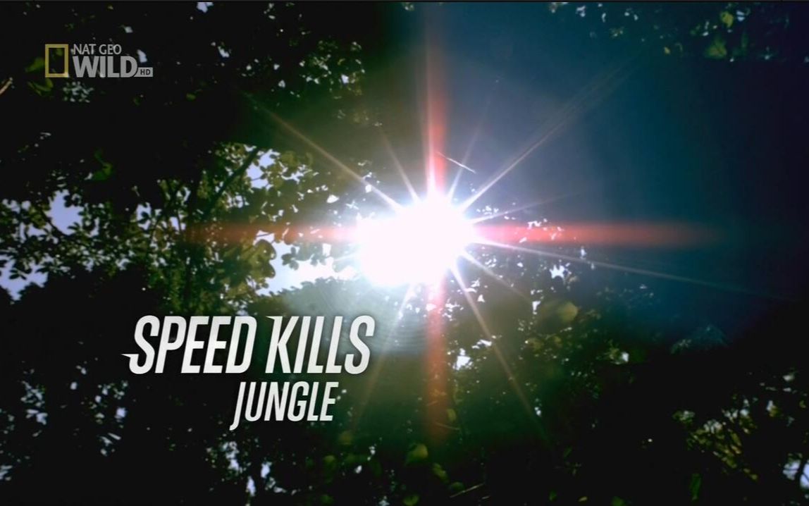 [图]National.Geographic.Wild.Speed.Kills.Jungle