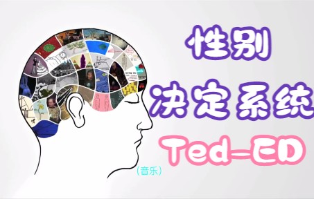 《TED官方动画》性别决定系统:比你想象的要更复杂【中英文双字幕】哔哩哔哩bilibili