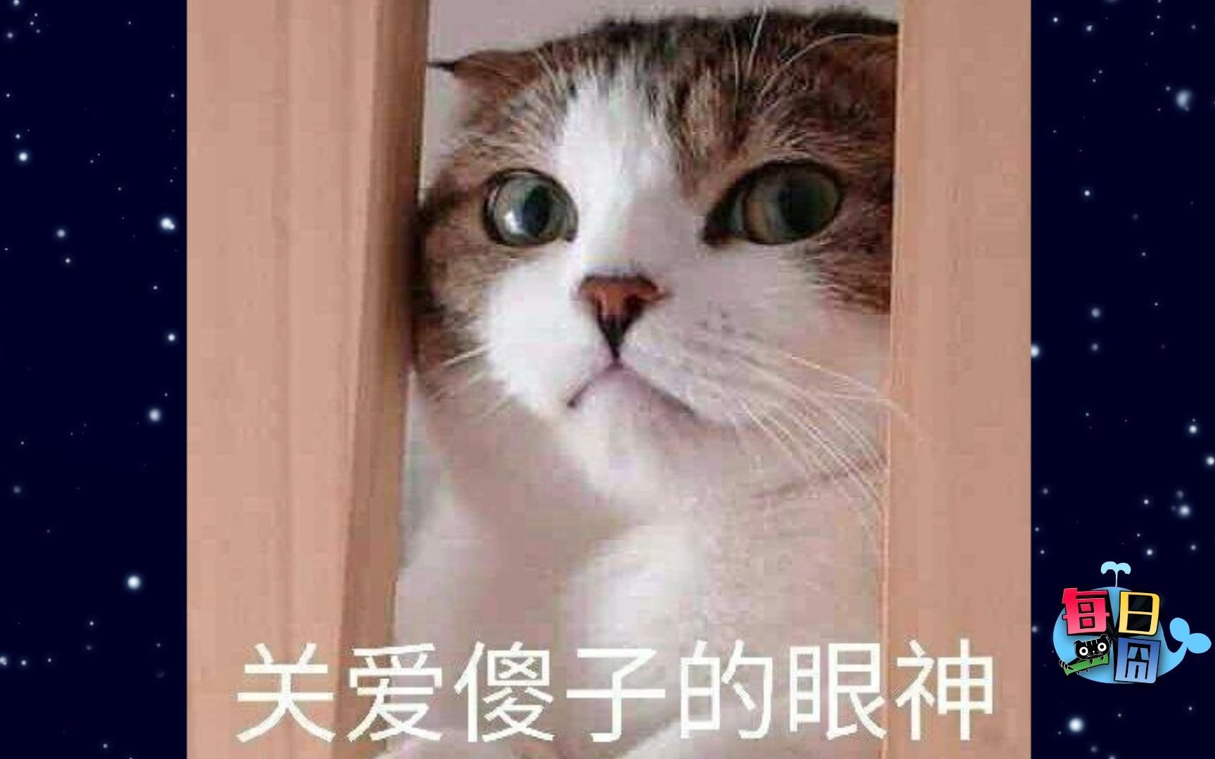【每日一囧】你以为的vs实际上的已读不回,有些事情就不要拆穿了吧!