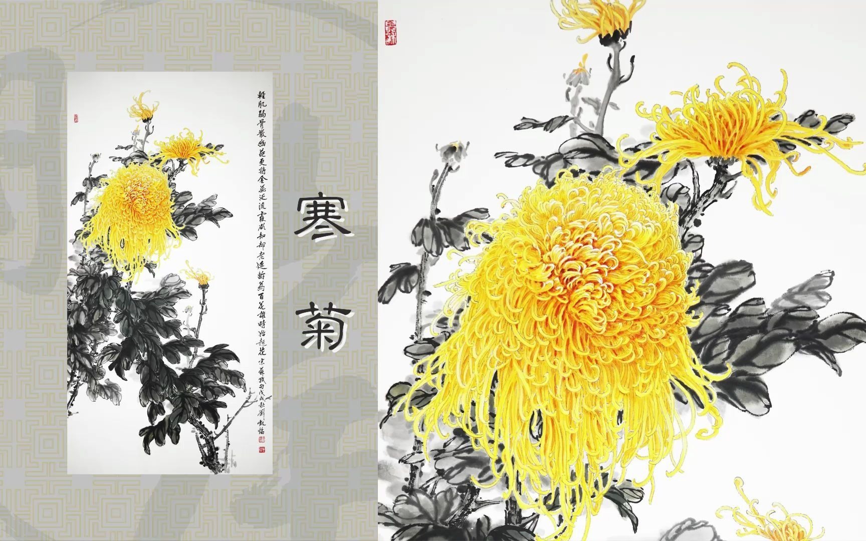 [图]「画册精选」今日小寒 赏菊