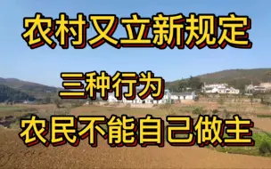 Download Video: 农村又立新规，3种行为农民不能擅自做主，早看早知道