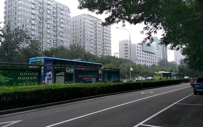 特13路和901路长椿街路口东进出站