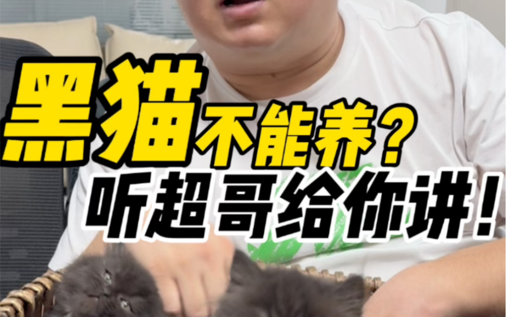 黑猫不能养?哔哩哔哩bilibili