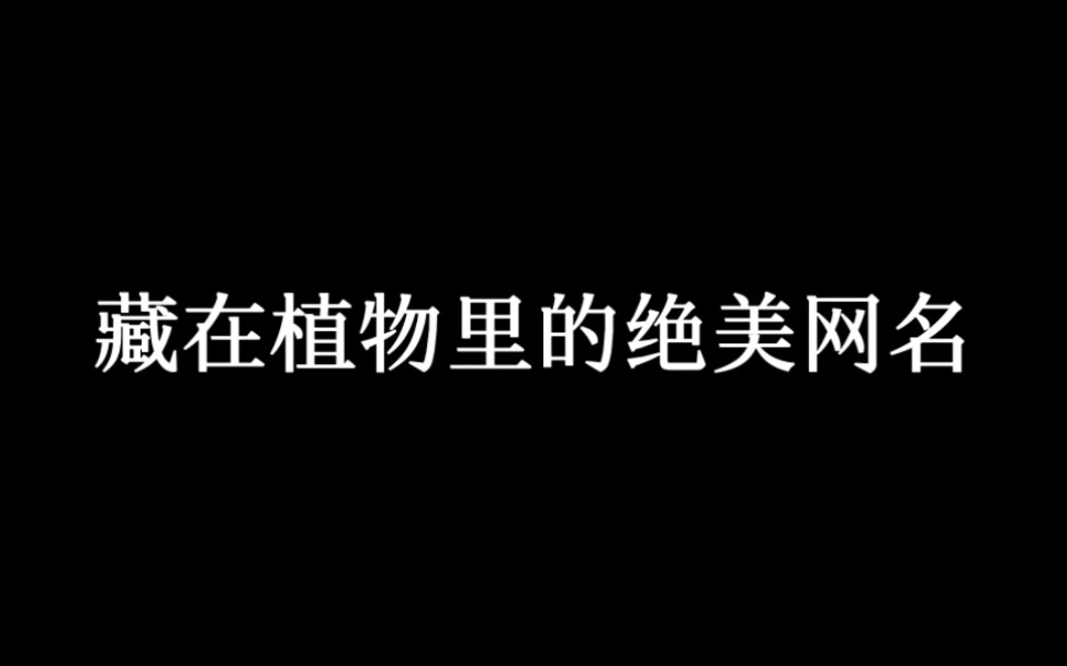 [图]“藏在植物里的绝美网名”