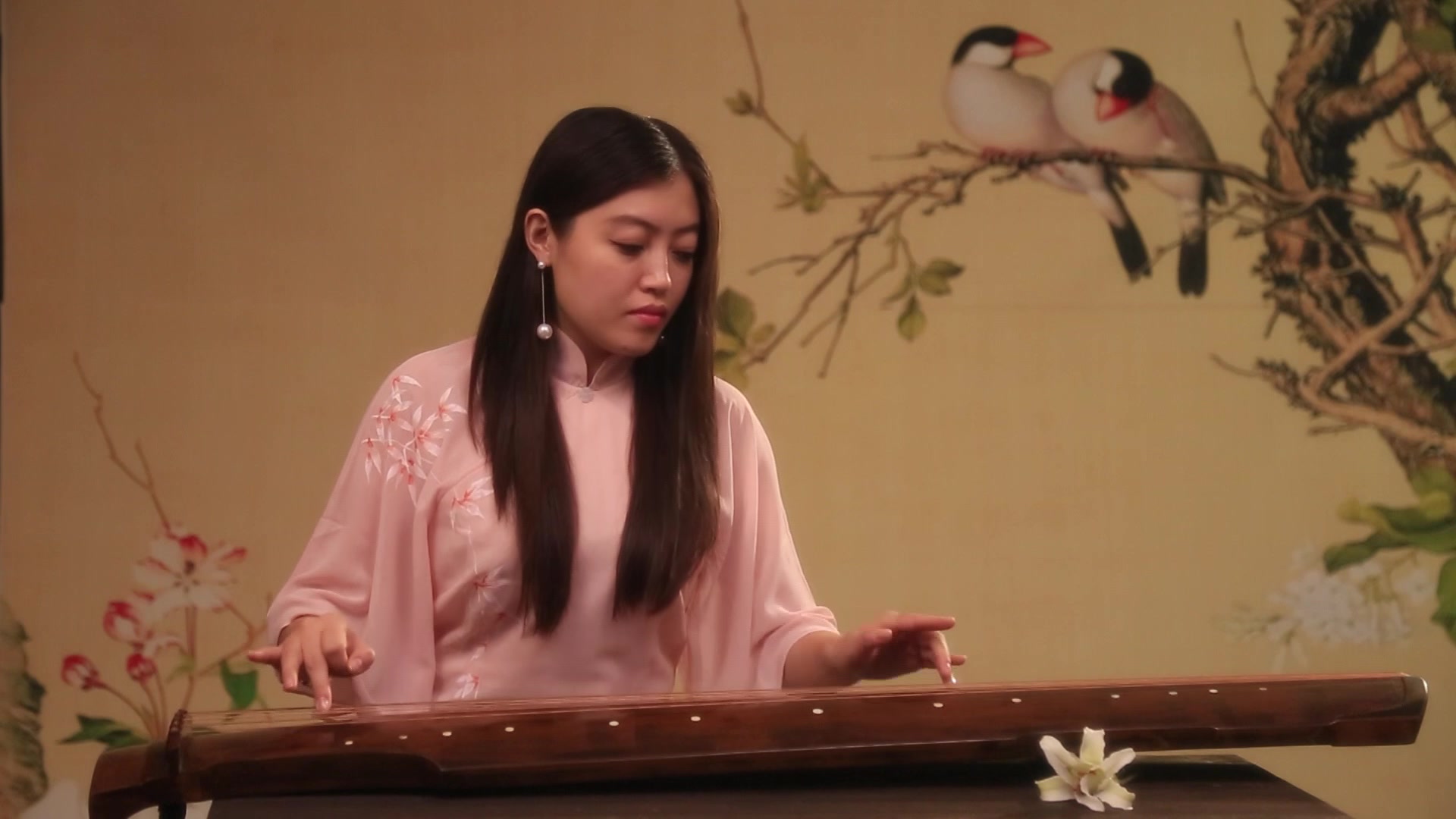 凤求凰-陈璨古琴