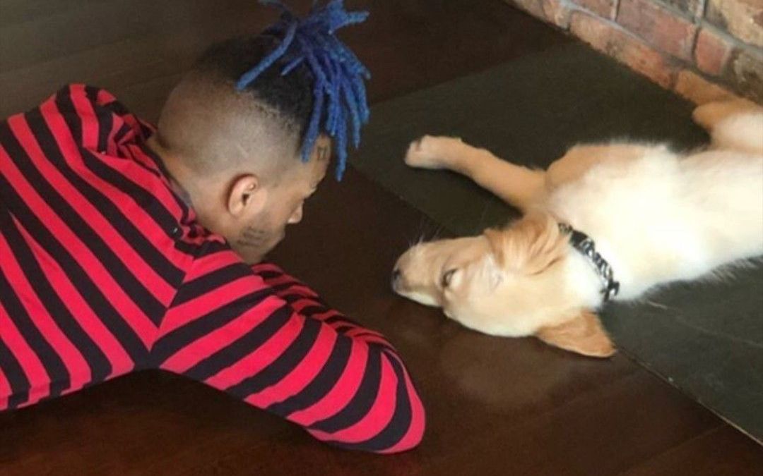 xxxtentacioninsideimnumb未发布音频