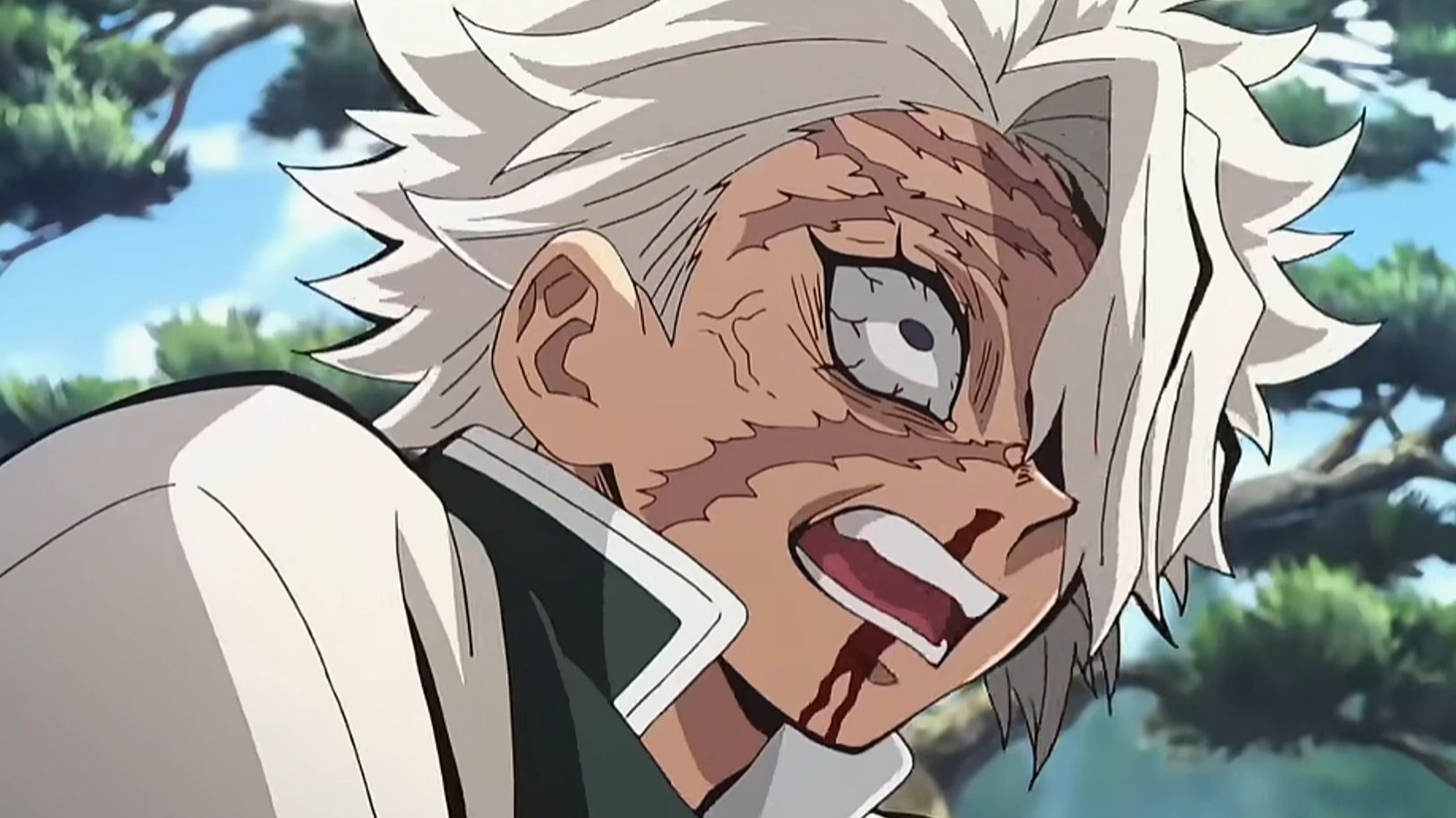 鬼灭之刃 9:下弦之伍 累