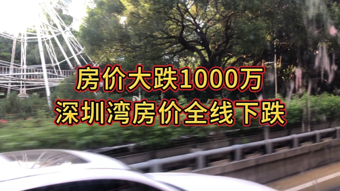 房价大跌1000万,深圳湾房价全线下跌哔哩哔哩bilibili