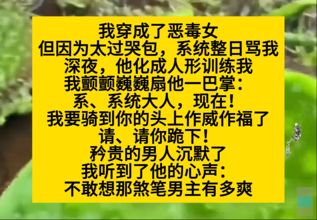 我穿成恶毒女配,但因为太过哭包,被系统整天骂,他还化成人形来骂我……小说推荐哔哩哔哩bilibili