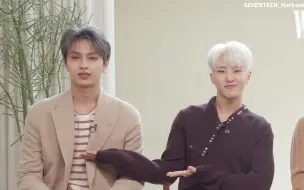 Télécharger la video: [SVT_Harbour中字] 210517 和SEVENTEEN的十七个问题｜W杂志