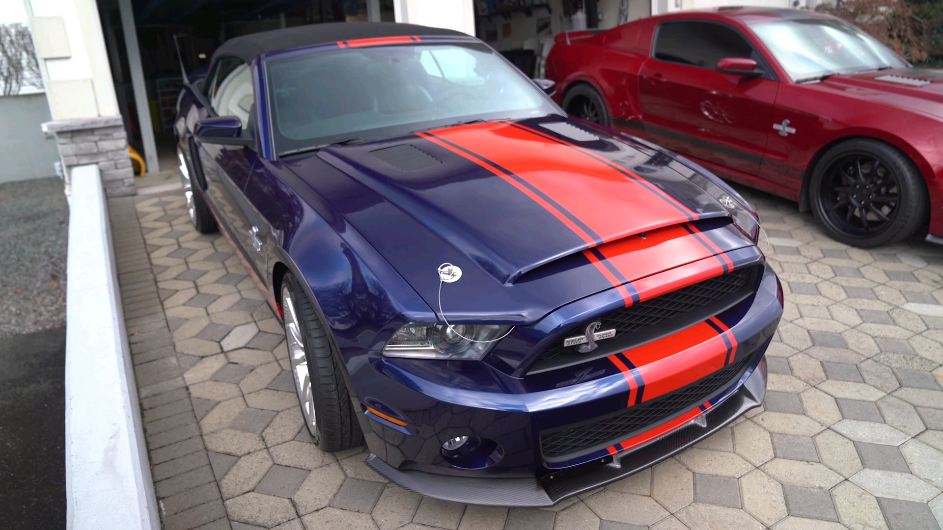 2011shelby謝爾比mustang野馬super超級蛇snake