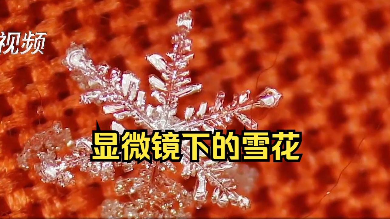 科学老师眼里的雪花长什么样?郑州一教师用显微镜拍下30多种雪花结构引关注哔哩哔哩bilibili