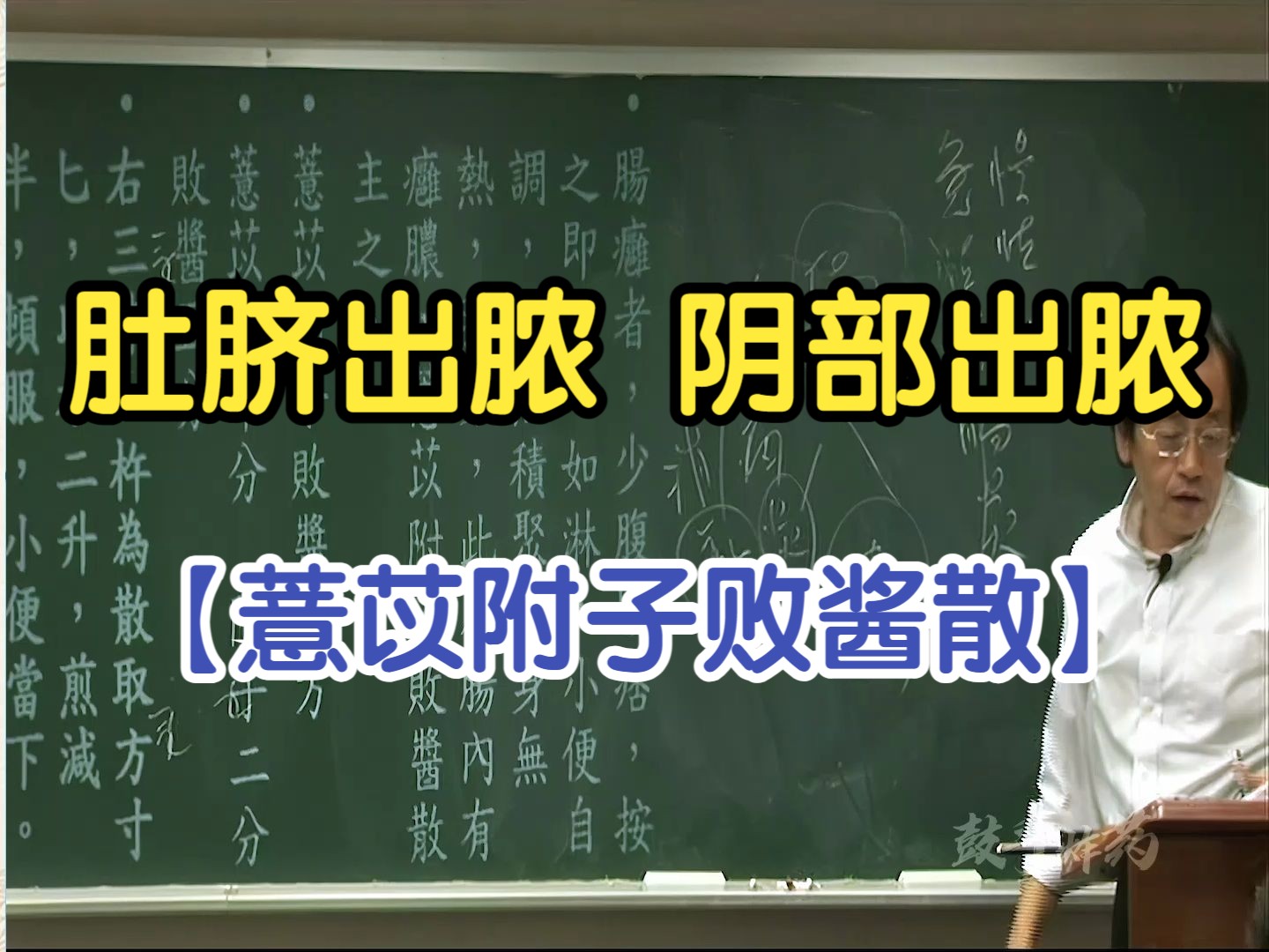 156 慢性盲肠炎 肚脐出脓 阴部出脓(薏苡附子败酱散)【倪海厦金匮要略】哔哩哔哩bilibili