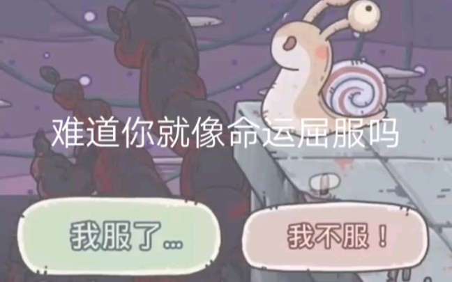 蜗牛的由来哔哩哔哩bilibili