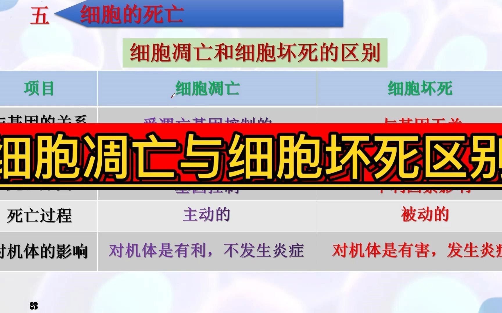 细胞凋亡与细胞坏死的区别