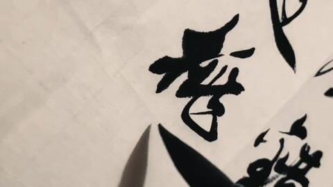 著名书法人行书 有鹃鹏之志 笔法细腻 行云流水 哔哩哔哩