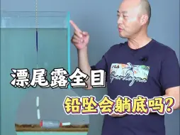 Download Video: 漂尾露全目，铅坠会躺底吗？