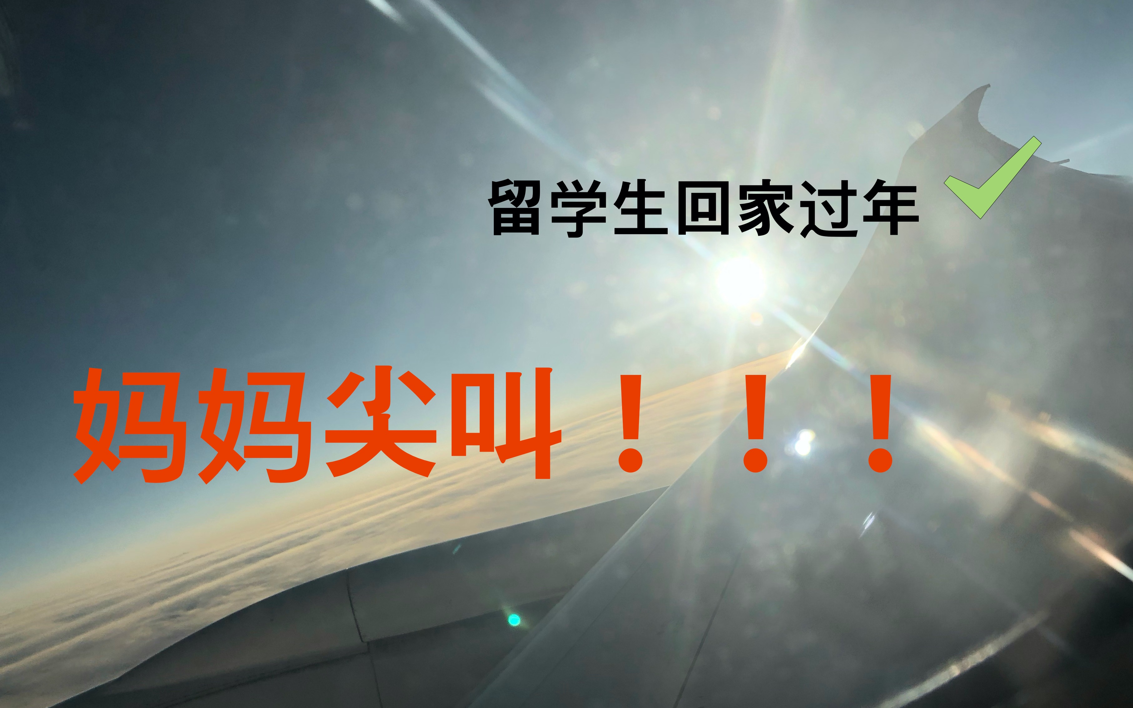 【vlog】留学生请假回家过年,给全家惊喜,妈妈被吓到尖叫!