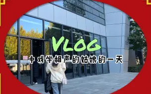 下载视频: 大学vlog｜在中戏学相声表演是什么体验？