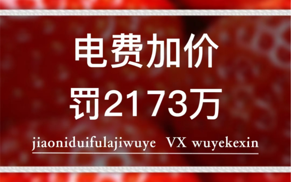 电费加价,物业被罚2173万元#业主 #物业 #物业服务 @物业克星哔哩哔哩bilibili