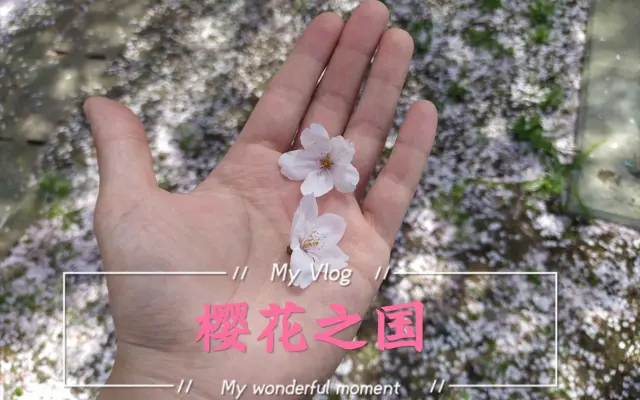 比企谷八幡門徒的个人空间 哔哩哔哩 Bilibili