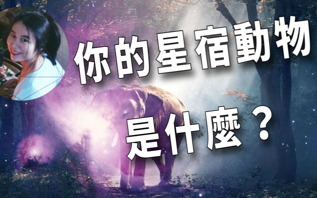 27星宿的代表动物,判断人际关系的方法之一 | 印占哔哩哔哩bilibili