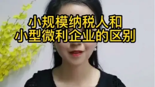 小规模纳税人和小型微利企业的区别