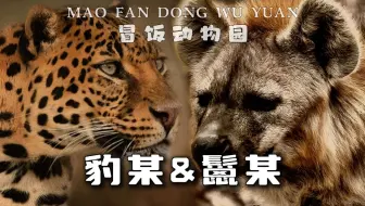 他和他和他和他和他
