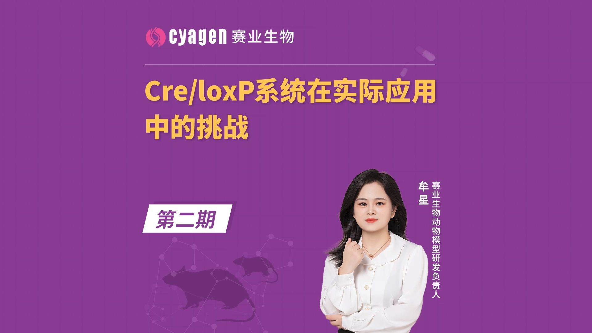 Cre工具鼠常见Q&A|CreloxP系统在实际应用中的挑战哔哩哔哩bilibili