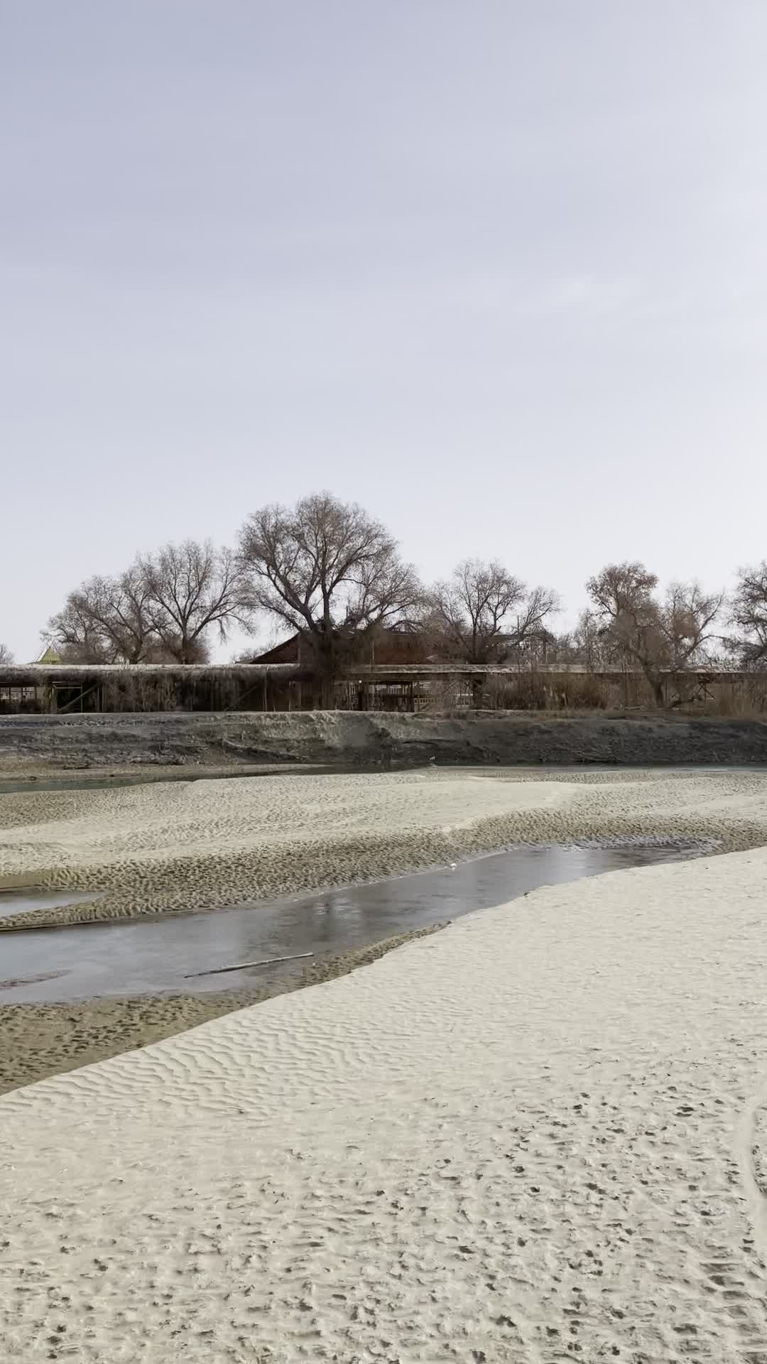 库尔勒 塔克拉玛干沙漠北部 罗布人村寨 塔里木河流域