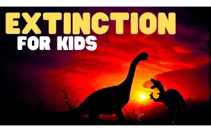 Télécharger la video: Extinction for Kids _ Learn why some animals and plants no longer exist