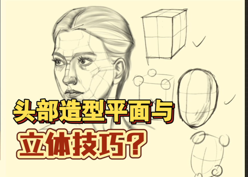 日常作业讲评|掌握头部造型的平面与立体技巧?哔哩哔哩bilibili