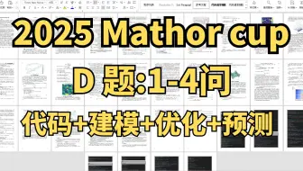 2025Mathorcup妈妈杯D题1-4问完整求解过程+成品代码演示+论文写作要点